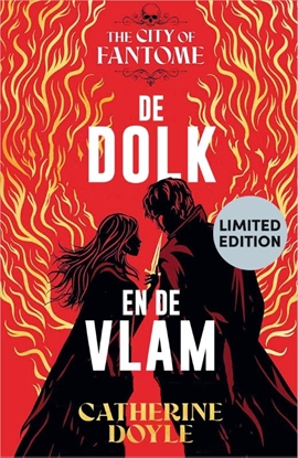 Afbeeldingen van The City of Fantome De dolk en de vlam