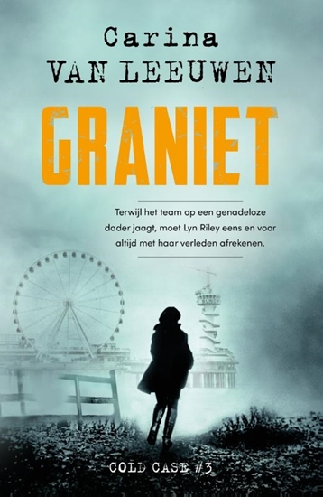 Afbeelding van Cold Case Graniet