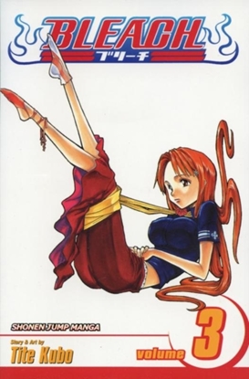 Afbeeldingen van Bleach Bleach, Vol. 3