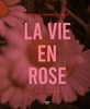 Afbeelding van La Vie en Rose