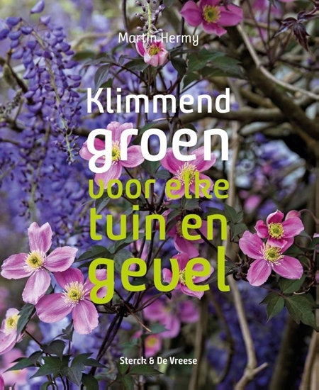 Afbeelding van Klimmend groen