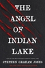 Afbeelding van The Angel of Indian Lake