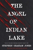 Afbeelding van The Angel of Indian Lake