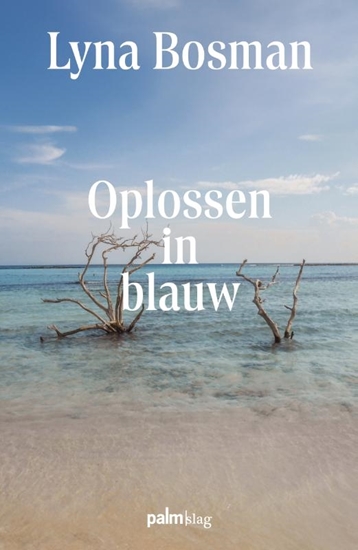 Afbeelding van Oplossen in blauw