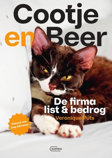 Afbeelding van Cootje en Beer. De firma List & Bedrog
