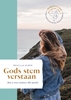 Afbeelding van Gods stem verstaan