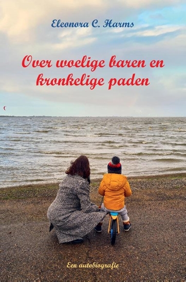 Afbeelding van Over woelige baren en kronkelige paden