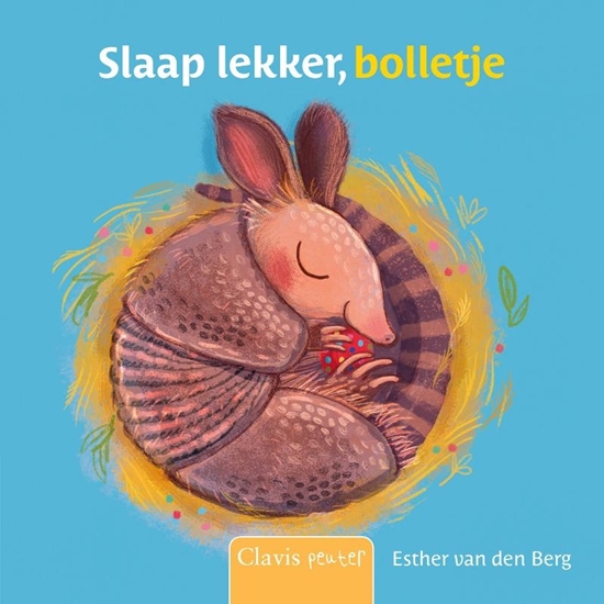 Afbeelding van Slaap lekker, bolletje