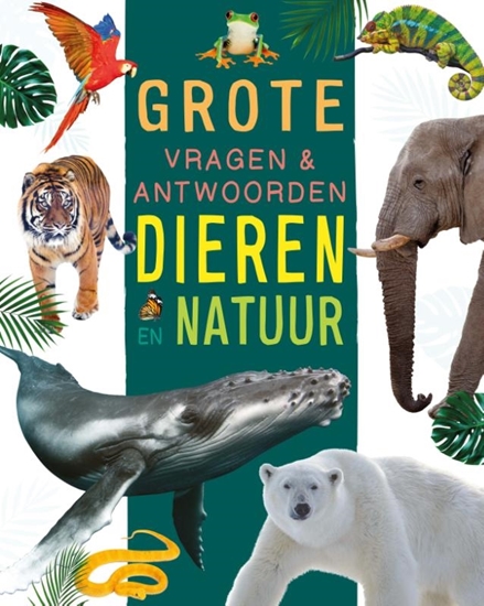 Afbeelding van Dieren en natuur - Grote vragen & antwoorden