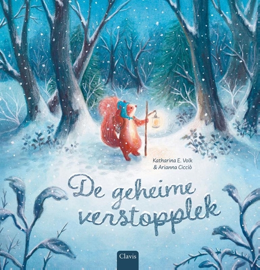 Afbeelding van De geheime verstopplek