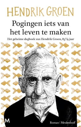 Afbeeldingen van Pogingen iets van het leven te maken