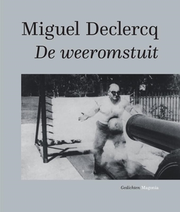 Afbeeldingen van De weeromstuit
