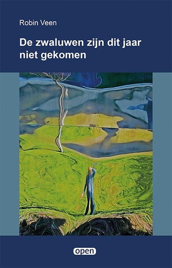 Afbeelding van De zwaluwen zijn dit jaar niet gekomen
