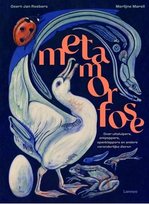 Afbeeldingen van Metamorfose