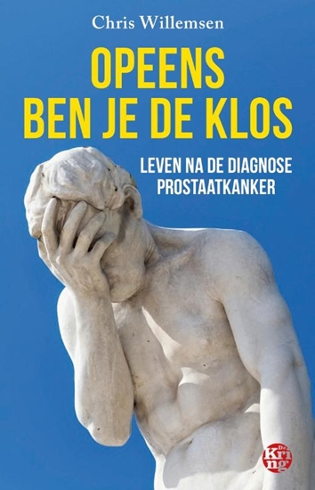 Afbeelding van Opeens ben je de klos