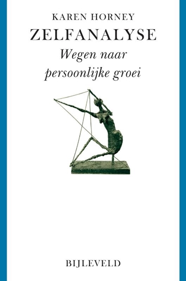 Afbeelding van Zelfanalyse