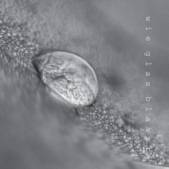 Afbeelding van wie glas blaast