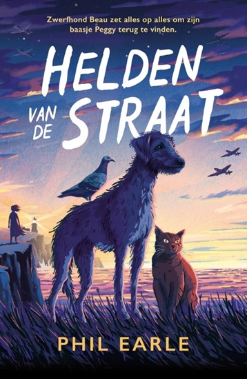 Afbeelding van Helden van de straat