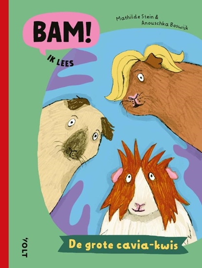 Afbeelding van BAM! Ik lees De grote cavia-kwis