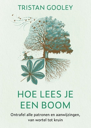 Afbeeldingen van Hoe lees je een boom