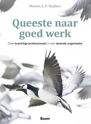 Afbeeldingen van Queeste naar goed werk