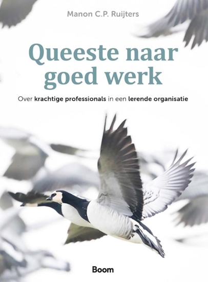 Afbeelding van Queeste naar goed werk