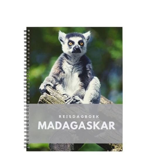 Afbeelding van Reisdagboek Madagaskar