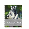 Afbeelding van Reisdagboek Madagaskar