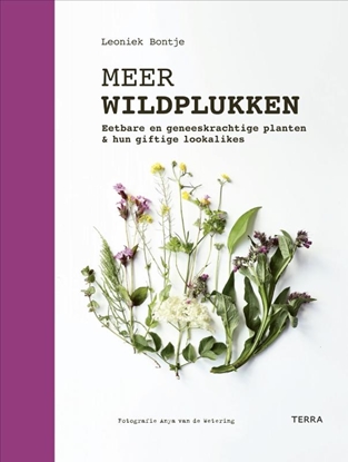 Afbeeldingen van Meer wildplukken