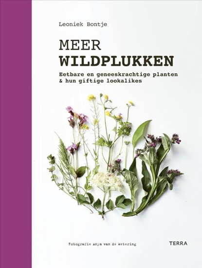 Afbeelding van Meer wildplukken