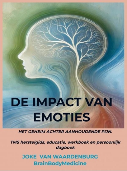 Afbeelding van De impact van emoties