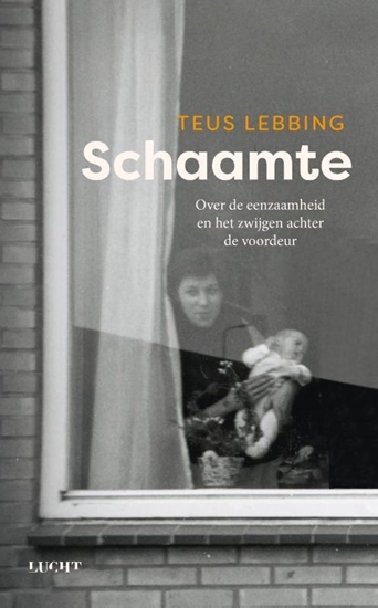 Afbeelding van Schaamte