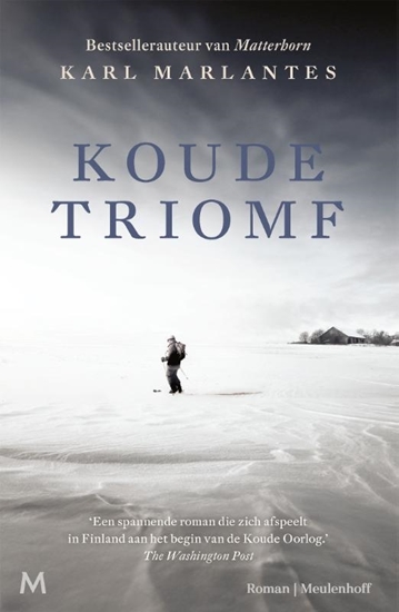 Afbeelding van Koude triomf