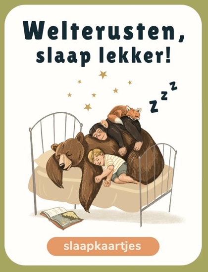 Afbeelding van Briljant Uitgeverij Welterusten, slaap lekker!