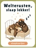 Afbeelding van Briljant Uitgeverij Welterusten, slaap lekker!
