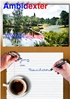 Afbeelding van Ambidexter