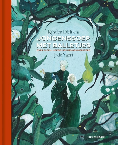 Afbeelding van Jongenssoep met balletjes