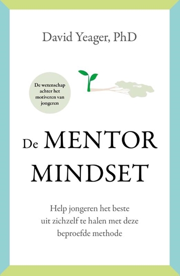 Afbeelding van De mentormindset