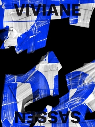 Afbeeldingen van Viviane Sassen