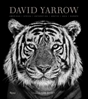 Afbeelding van David Yarrow Photography
