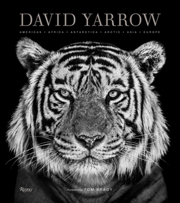 Afbeeldingen van David Yarrow Photography