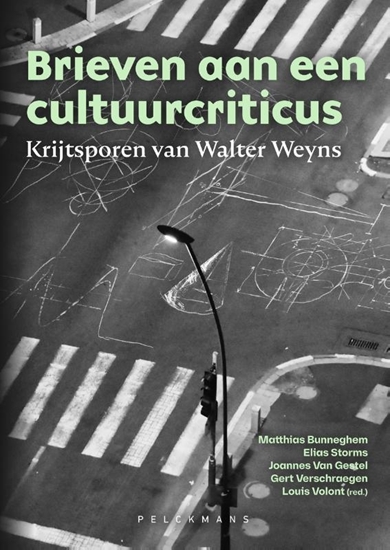Afbeelding van Brieven aan een cultuurcriticus