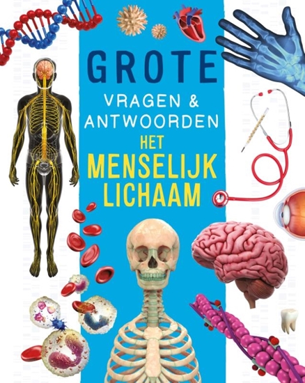 Afbeelding van Het menselijk lichaam - Grote vragen & antwoorden