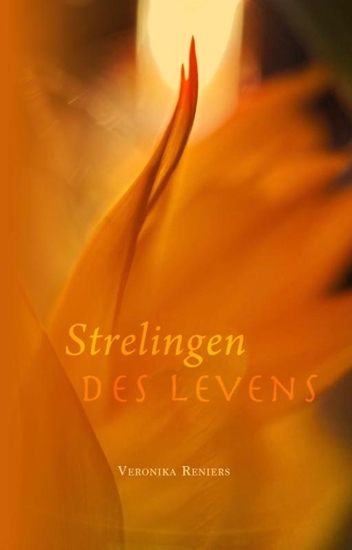 Afbeelding van Strelingen des Levens