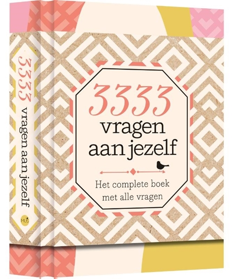 Afbeelding van 3333 vragen aan jezelf