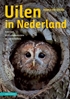 Afbeelding van Uilen in Nederland