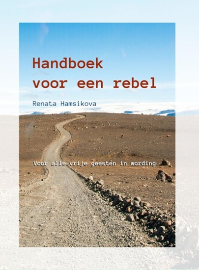 Afbeelding van Handboek voor een rebel