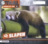 Afbeelding van Staal 2 groep 4 thema 5 Uitvindingen Werkboek Taal