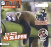 Afbeelding van Staal groep 4 thema 5 Slapen