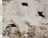 Afbeelding van Creatures Found